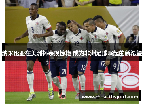 纳米比亚在美洲杯表现惊艳 成为非洲足球崛起的新希望