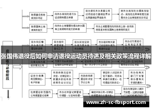 张国伟退役后如何申请退役运动员待遇及相关政策流程详解