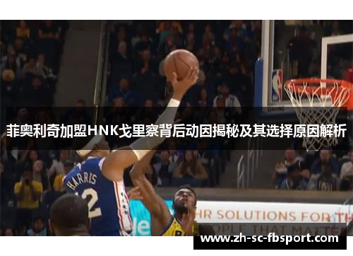 菲奥利奇加盟HNK戈里察背后动因揭秘及其选择原因解析