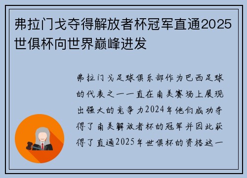 弗拉门戈夺得解放者杯冠军直通2025世俱杯向世界巅峰进发 弗拉门戈夺得解放者杯冠军直通2025世俱杯向世界巅峰进发